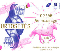 CURIOSITÉS - exposition des pratiques grand public