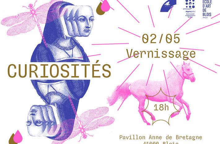 CURIOSITÉS - exposition des pratiques grand public