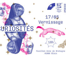 "CURIOSITÉS" exposition des pratiques grand public